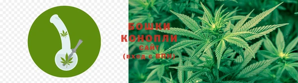 гашик Абаза