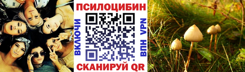 Галлюциногенные грибы мицелий  как найти закладки  Инта 